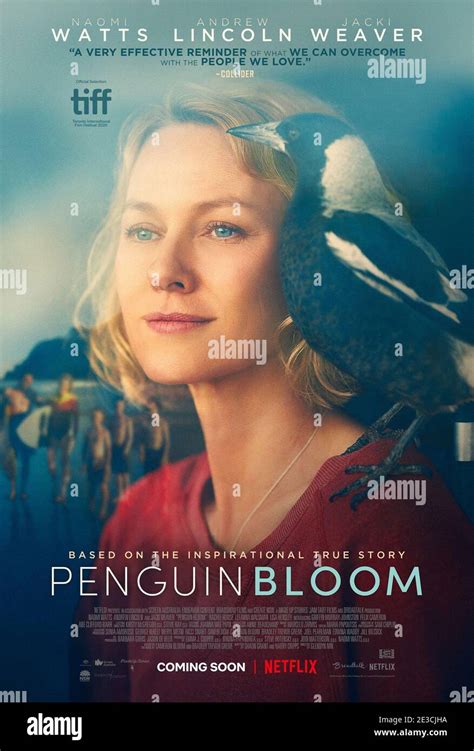 penguin fmovie|movie penguin bloom 2021.